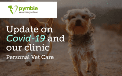 Pymble Vet Clinic Covid- 19 Update