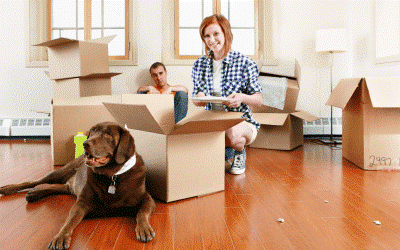 Moving into a new house with your dog or cat