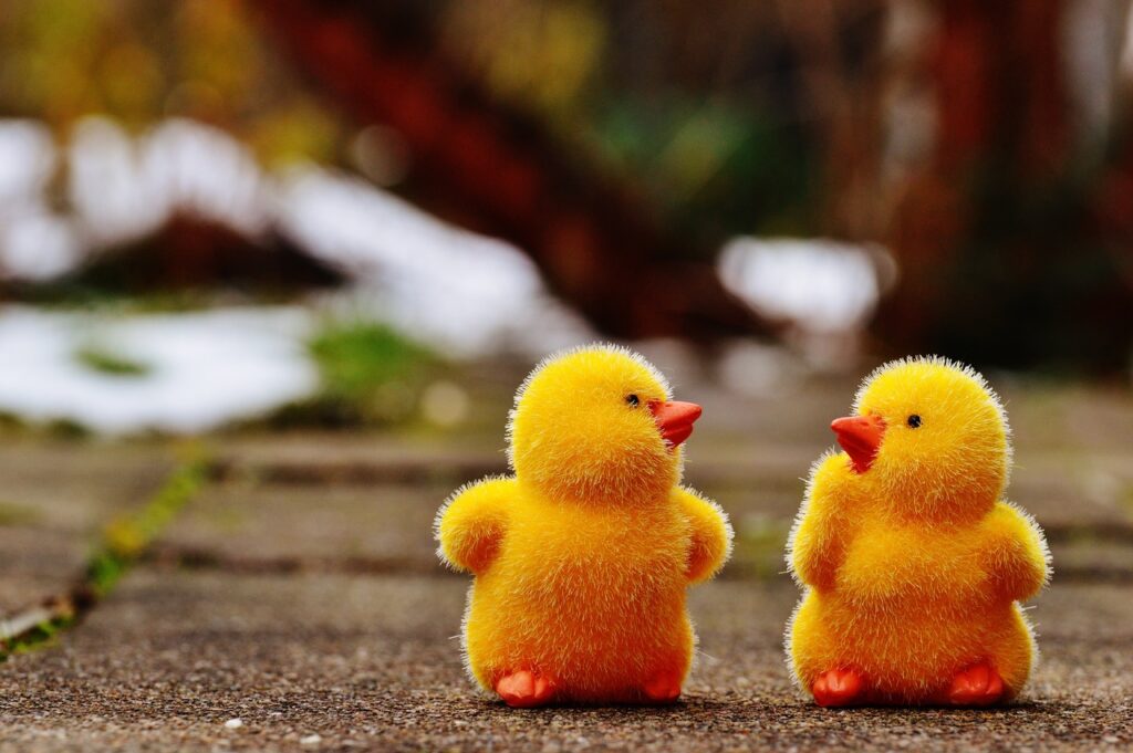 Foreign bodies. two-yellow-ducks that cna cuase choking and death in a dog that eats them