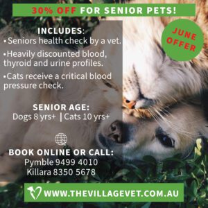 30% all senior pet health care this month