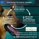 Promotional image for a year-round pet dental program by The Village Vet and a dog with its mouth open.