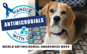 The Village Vet explains the importance of World Antimicrobial Awareness Week