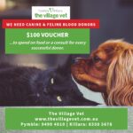 Promotional graphic calling for canine and feline blood donors, featuring a black cat and a brown dog.