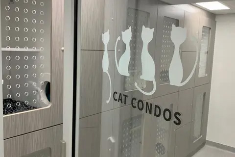 The Village Vet cat Condos entrance