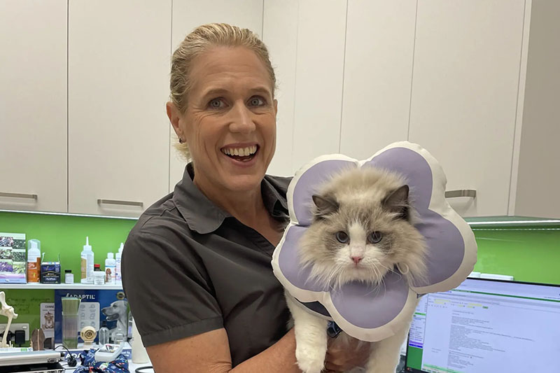 Vet at Village Vets holding cat in inflatable collar