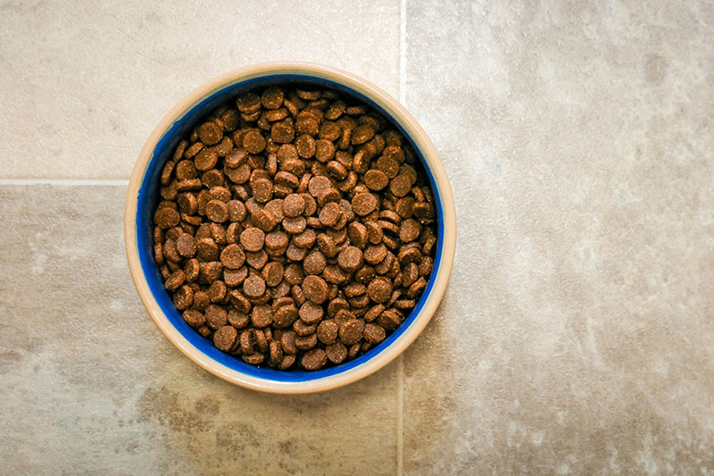 Pet Nutrition Advice for Dogs & Cats