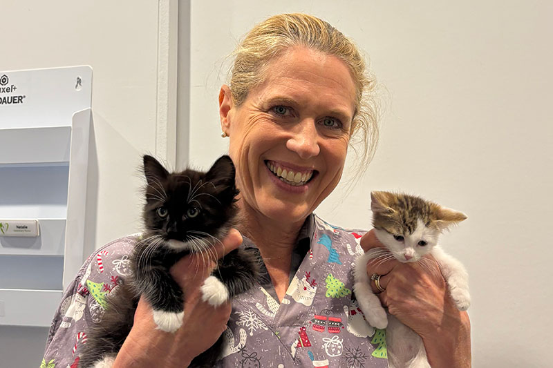 Dr Martine and two rescue kittens at The Village Vet after vaccinations.